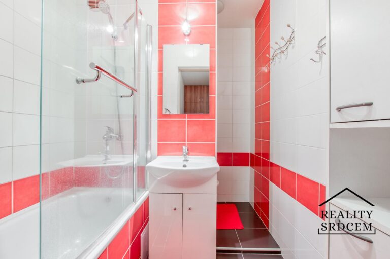 Michal-Lesnak-realitni-makler-Ostrava-realitni-kancelar-Karvina-reality-frydek-mistek-rekonstrukce-H