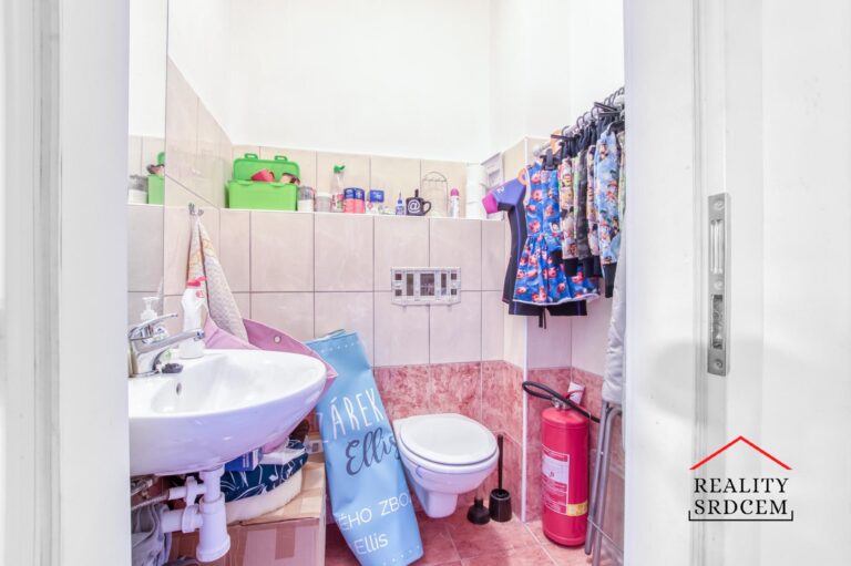 Michal-Lesnak-realitni-makler-Ostrava-realitni-kancelar-Karvina-reality-Frydek-Mistek-rekonstrukce-H