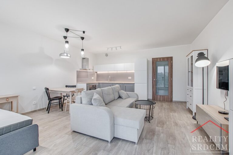 Michal-Lesnak-realitni-makler-Ostrava-Realitni-kancelar-karvina-Reality-Frydek-Mistek-Rekonstru