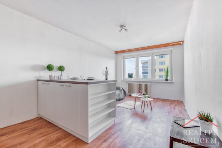 Michal-Lesnak-realitni-makler-Ostrava-Realitni-kancelar-karvina-Reality-Frydek-Mistek-Rekonstru