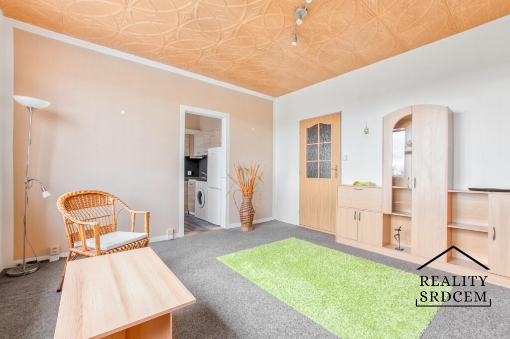 Michal-Lesk-realitn-makl-Ostrava-realitn-kancelar-Karvin-reality-frdek-mstek-rekonstrukce-H