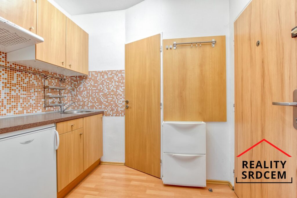 Pronájem rekonstruovaného bytu 1+kk s lodžií, 29 m2, ul. Ahepjukova, Moravská Ostrava