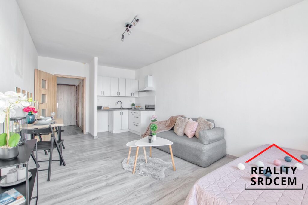 Pronájem rekonstruovaného bytu 1+kk s lodžií, 17. listopadu, Karviná